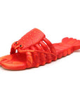 Lobster Slippers Lifestyle Brands