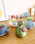 Cute Animals Succulent Planter